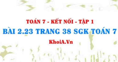 Bài 2.23 trang 38 SGK Toán 7 tập 1 Kết nối tri thức